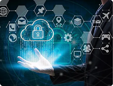 Vulnerability Assessment